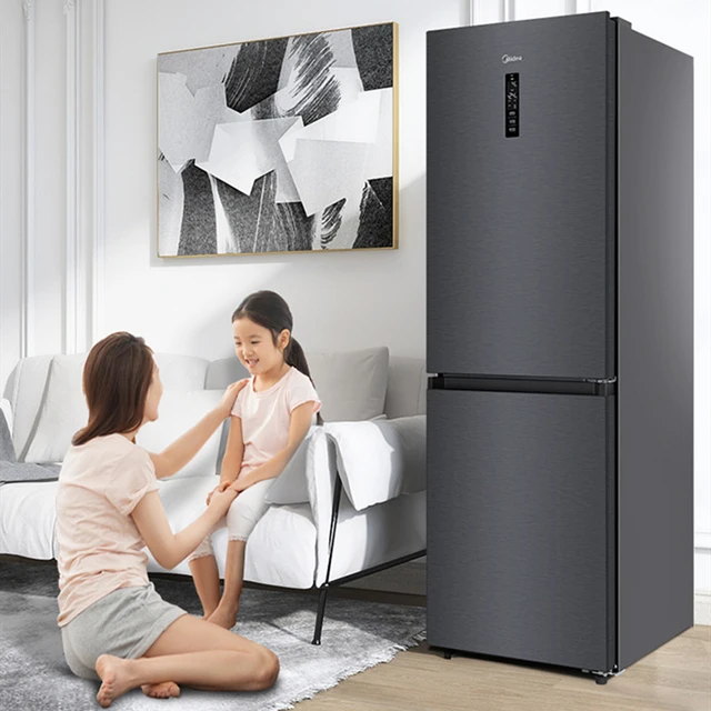 A domestic refrigerator and family