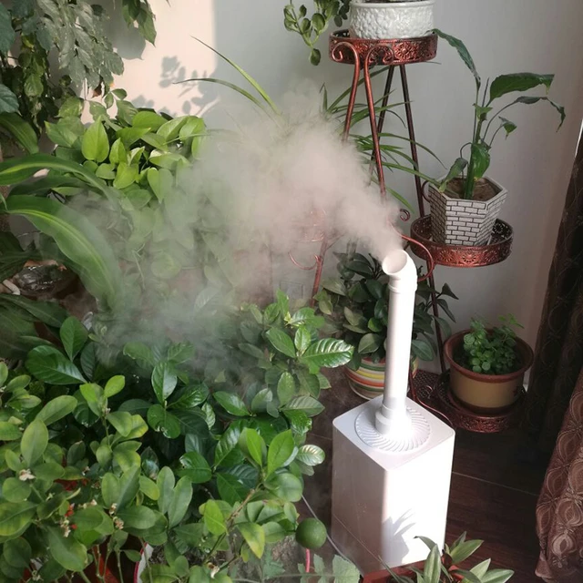 air purifier vs humidifier